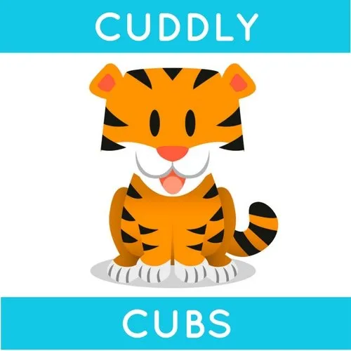 Cuddly cubs baby music class